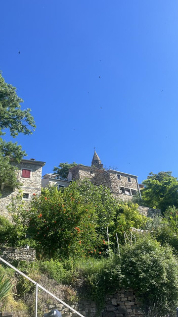 IMG-9423