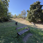 IMG 3159