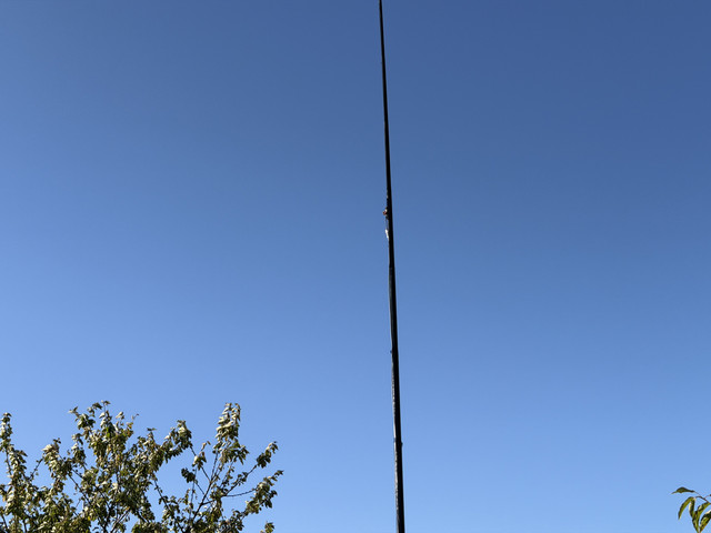 IMG-0391