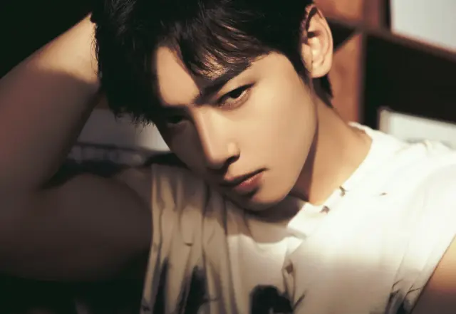 cha eun woo 1395945