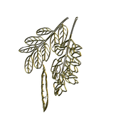 MS-gold-element-76