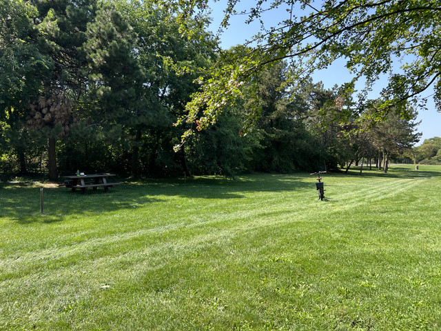IMG-0018.jpg