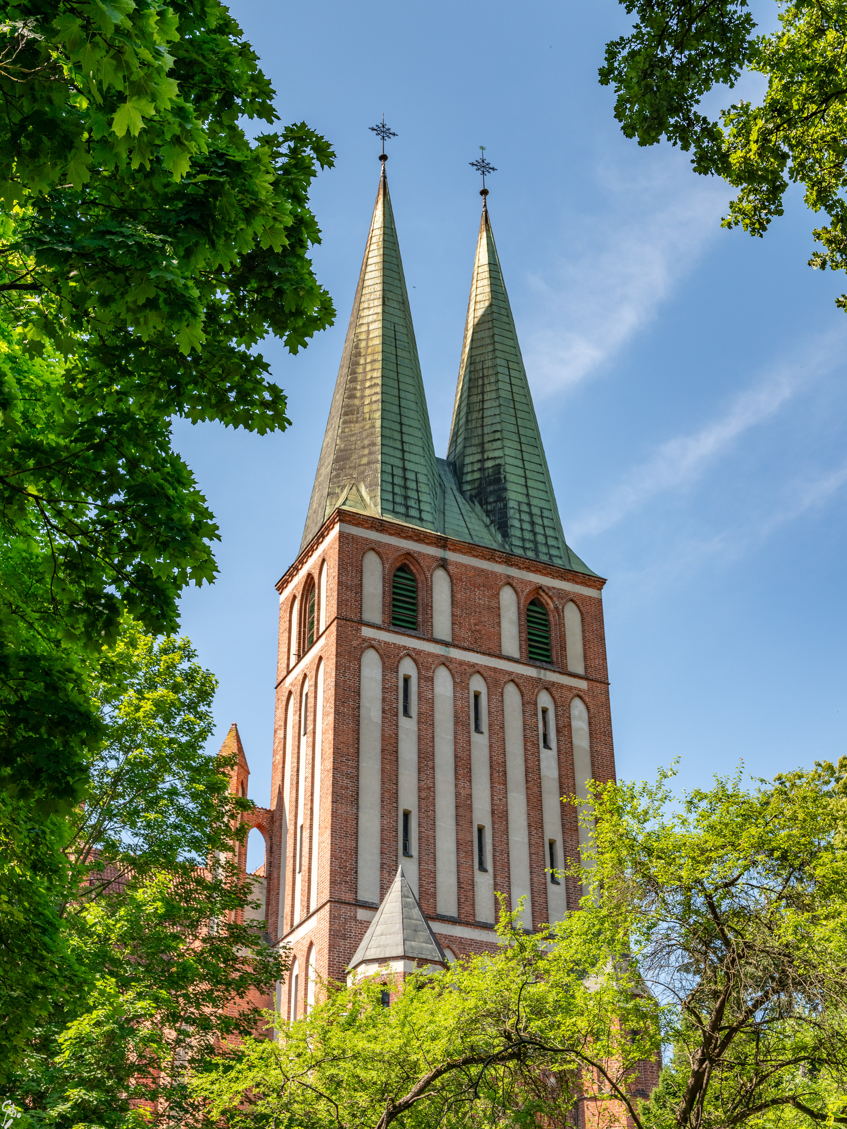 warmia d2 14