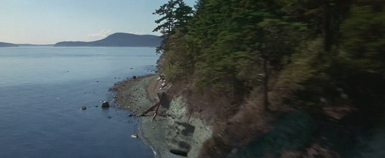 Free Willy 2: The Adventure Home Screenshot