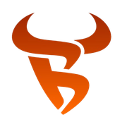 Bull Margin Logo