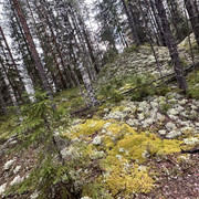 IMG 4798