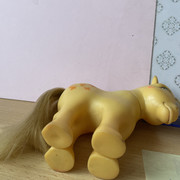 IMG 0819