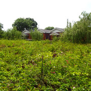 DSC00319