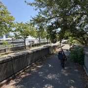 IMG 6117