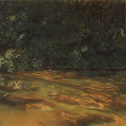 Заросший пруд 1899