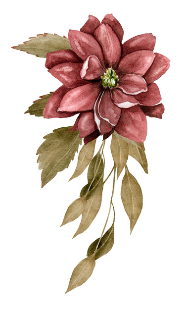 shutterstock 2197697119 Copy.jpg