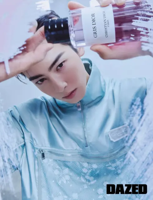 cha eun woo 1349916.webp