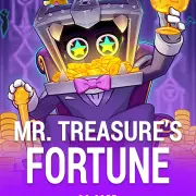 mr treasure s fortune