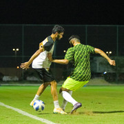 IMG 8431