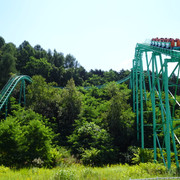 DSC03334