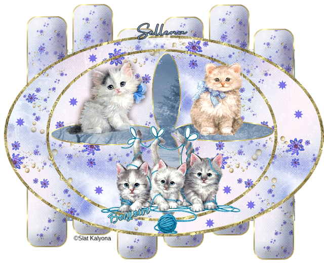 chats