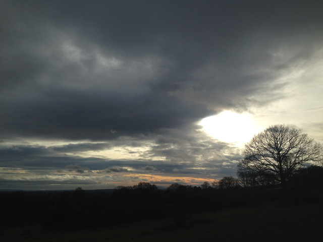 IMG-3246