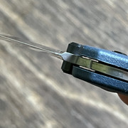 https://i.ibb.co/1wQ4Vfz/IMG-5329.jpg
