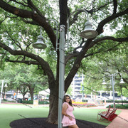 IMG 5420
