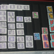 IMG-3576