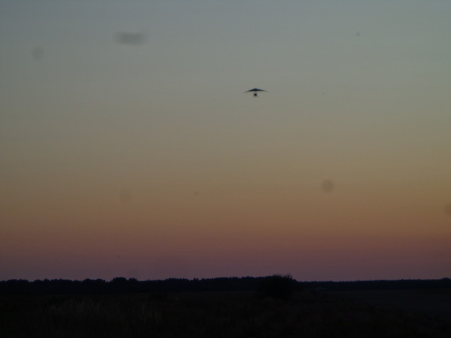 DSC01029.jpg