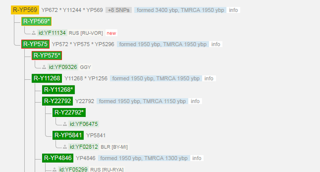 R YP569