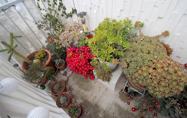 IMG-7784