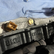 IMG-2517