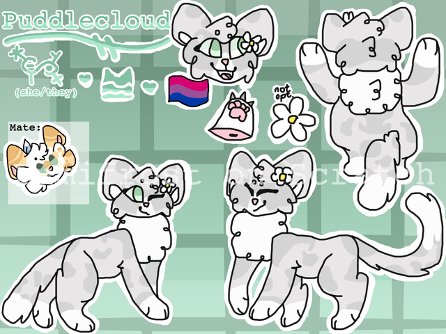 Puddlecloud Ref ll Commission for @matchabubbletea