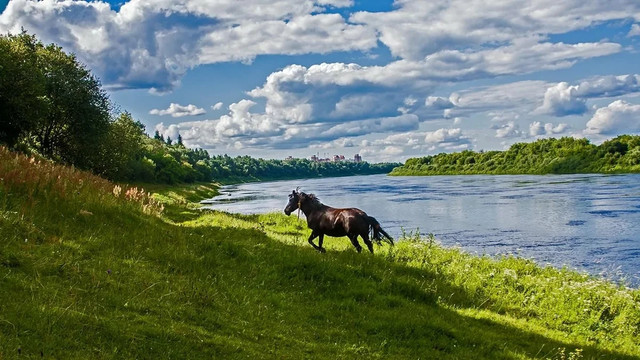 s1200-28