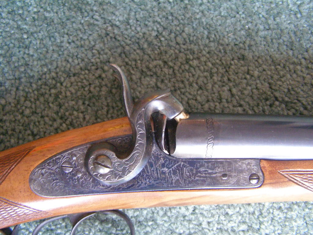 Kodiak019 1