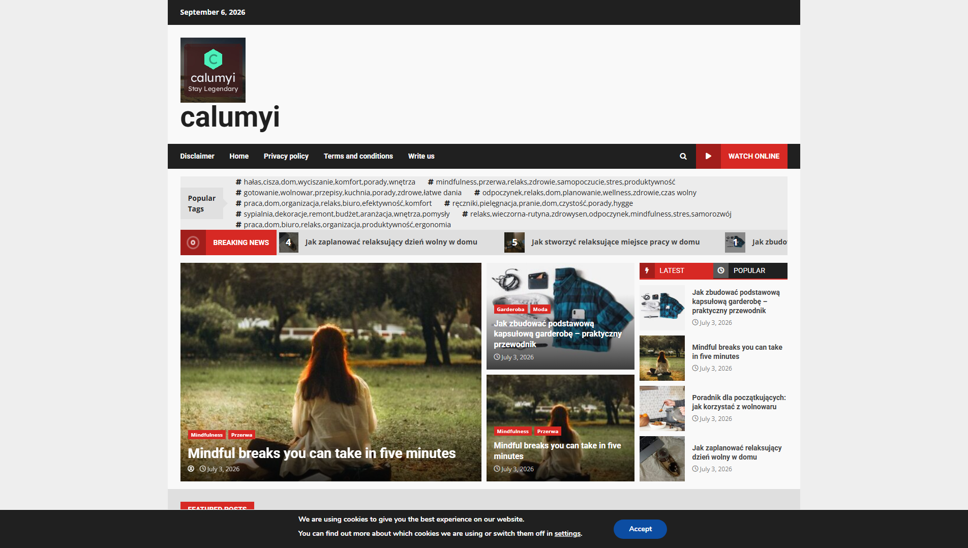 Stored capture of calumyi.com