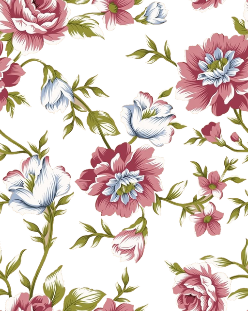Untitled 6.png