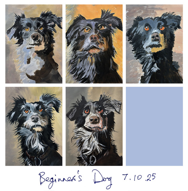dog7oct25