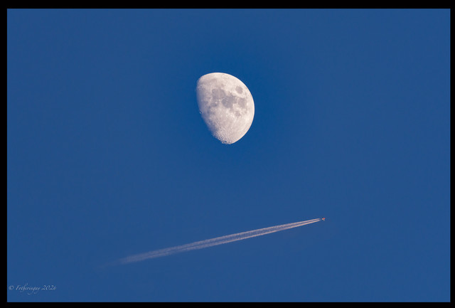 DSF6198 Edit.jpg