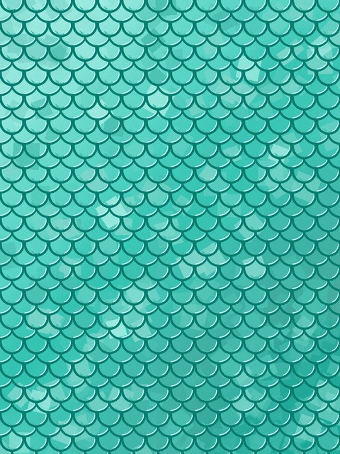 467e8f8cfaa0516fd58fa5ec1a4747ef.jpg