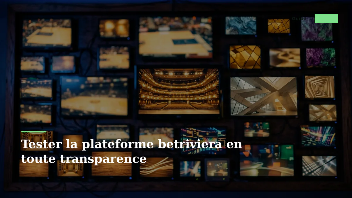 Tester la plateforme betriviera en toute transparence