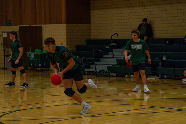 DSC04874.jpg
