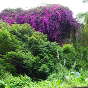 DSC00451