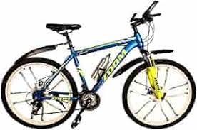 Adult Bike 2