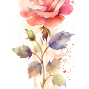flower 8483425 1280