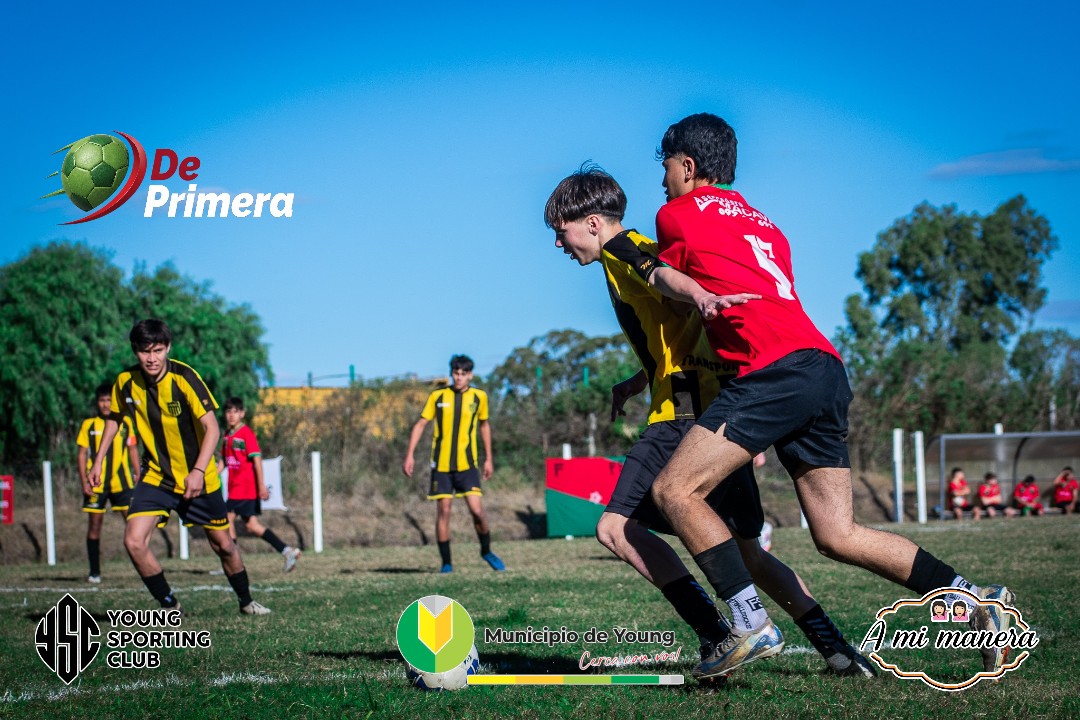 Honor 2026 Sub 16