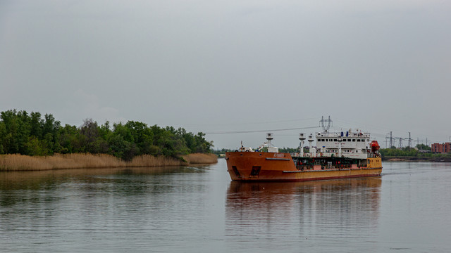 IMG 0600.jpg