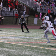 IMG-8992