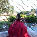 IMG 1352