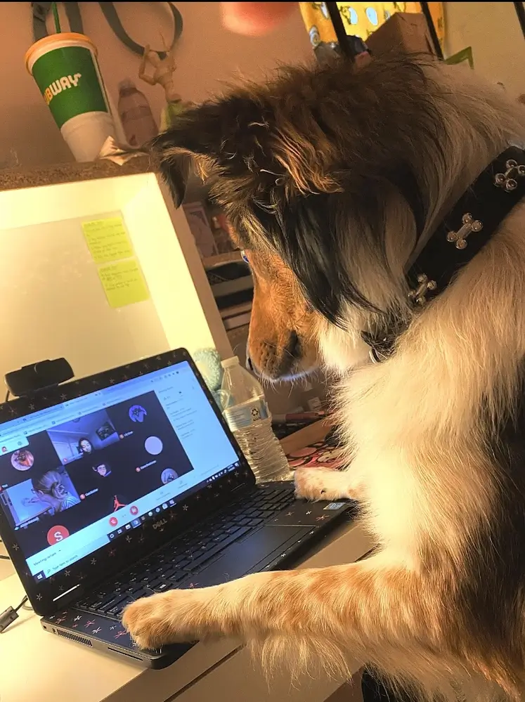 Do My Homework Please