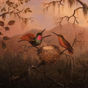 Two-Hummingbirds-at-a-Nest