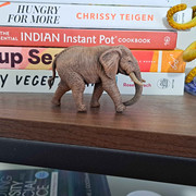 Elephant printed