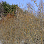 DSC0130 2