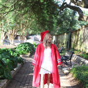 IMG 7531